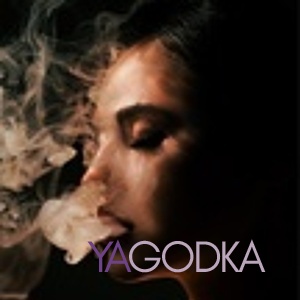 Шлюха Илона 33756